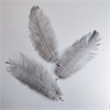 Перья страуса серые 23-27 см, 3 шт. ipcKPRZeh65QbFEWXeRmL1