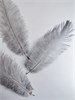 Перья страуса серые 23-27 см, 3 шт. ipcKPRZeh65QbFEWXeRmL1