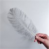 Перья страуса серые 23-27 см, 3 шт. ipcKPRZeh65QbFEWXeRmL1