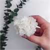 Эустома (лизиантус) белая стабилизированная, 8 шт. pWLN3XEDh9neFbQZiRcVO1