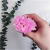 Эустома (лизиантус) розовая стабилизированная, 8 шт. 48wIqYm8g4GaScE1ptuyI2