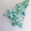 Нигелла бирюзовая N_309