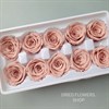 Роза 4-5 см розовый нюд (10) - фото 5065