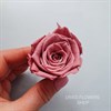 Роза 4-5 см пыльная роза (10) - фото 5078
