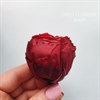 Роза пионовидная 5 см бордо марсала (8) - фото 5143