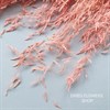 Мунни грасс розовый Италия Уценка Mu_104