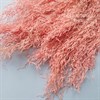 Мунни грасс розовый Италия Уценка Mu_104
