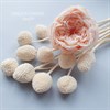 Роза пионовидная 5 см светло-персиковая (8) - фото 5661