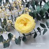 Роза пионовидная 5 см желтая (8) RP8_203