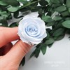 Роза стабилизированная голубая