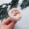 Роза пионовидная 4,5-5 см светлый нюд хаки (8) - фото 6037