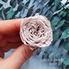 Роза пионовидная мини 3-3,5 см светлый нюд хаки (21) - фото 6193