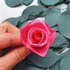 Роза 3-3,5 см малиново-розовая (21) - фото 6323