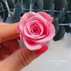 Роза 3-3,5 см розовая (21) - фото 6412