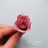 Роза 2-3 см пыльная роза (21) - фото 6459