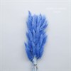 Лагурус 50-60 шт. сине-голубой - фото 6634