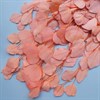 Эвкалипт популус персиково-розовый - фото 6741