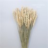 Пшеница натуральная - фото 6863