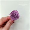 Роза пионовидная мини 3-3,5 см фиолетовая (21) - фото 7132