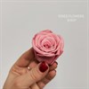 Роза 4-5 см кораллово-розовая (10) - фото 7946