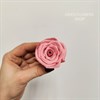 Роза 4-5 см кораллово-розовая (10) - фото 7947