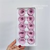 Роза 4-5 см розово-лиловая восход (10) - фото 8005