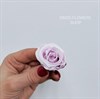 Роза 3-3,5 см светло-лиловая (21) - фото 8044