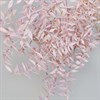 Рускус сухоцвет пастельно-розовый - фото 8110