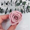 Роза 4-5 см светло-розовый нюд (10) - фото 8228