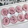 Роза 4-5 см светло-розовый нюд (10) - фото 8229