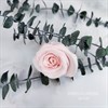Роза 4-5 см светло-розовая молочная (10) - фото 8231