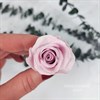Роза 3 см лилово-розовая восход (21) - фото 8244