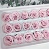 Роза 3 см лилово-розовая восход (21) - фото 8245