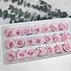 Роза 3 см лилово-розовая восход (21) - фото 8246