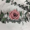 Роза 3-3,5 см нюд кофейная темная (21) - фото 8258