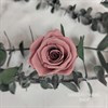 Роза 3-3,5 см нюд кофейная темная (21) - фото 8259