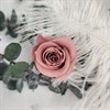 Роза 3 см средний нюд карамель (21) - фото 8263