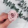 Роза 3-3,5 см пудровый нюд (21) - фото 8268