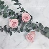 Роза 3-3,5 см пудровый нюд (21) - фото 8272