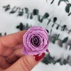 Роза 3 см фиолетовая темно-сливовая (21) - фото 8275