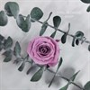 Роза 3 см фиолетовая темно-сливовая (21) - фото 8278