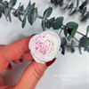 Роза пионовидная мини 3-3,5 см двухцветная бело-розовая градиент светлая (21) - фото 8287