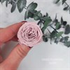 Роза пионовидная мини 3-3,5 пудровый нюд (21) - фото 8295