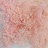 Гипсофила мелкая розовая - фото 8356