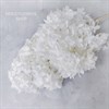 Гортензия крупнолистная свечка белая - фото 8436