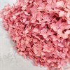 Гортензия розовый нюд - фото 8446