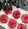 Роза пионовидная 4,5-5 см малиново-розовая (8) - фото 8497