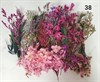 Набор сухоцветов в контейнере в ассортименте - фото 8506