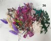 Набор сухоцветов в контейнере в ассортименте - фото 8508