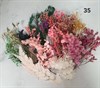 Набор сухоцветов в контейнере в ассортименте - фото 8509
